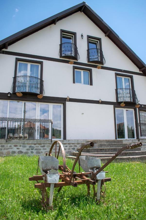 Casa Nevada Hotel Curtea De Arges Bagian luar foto